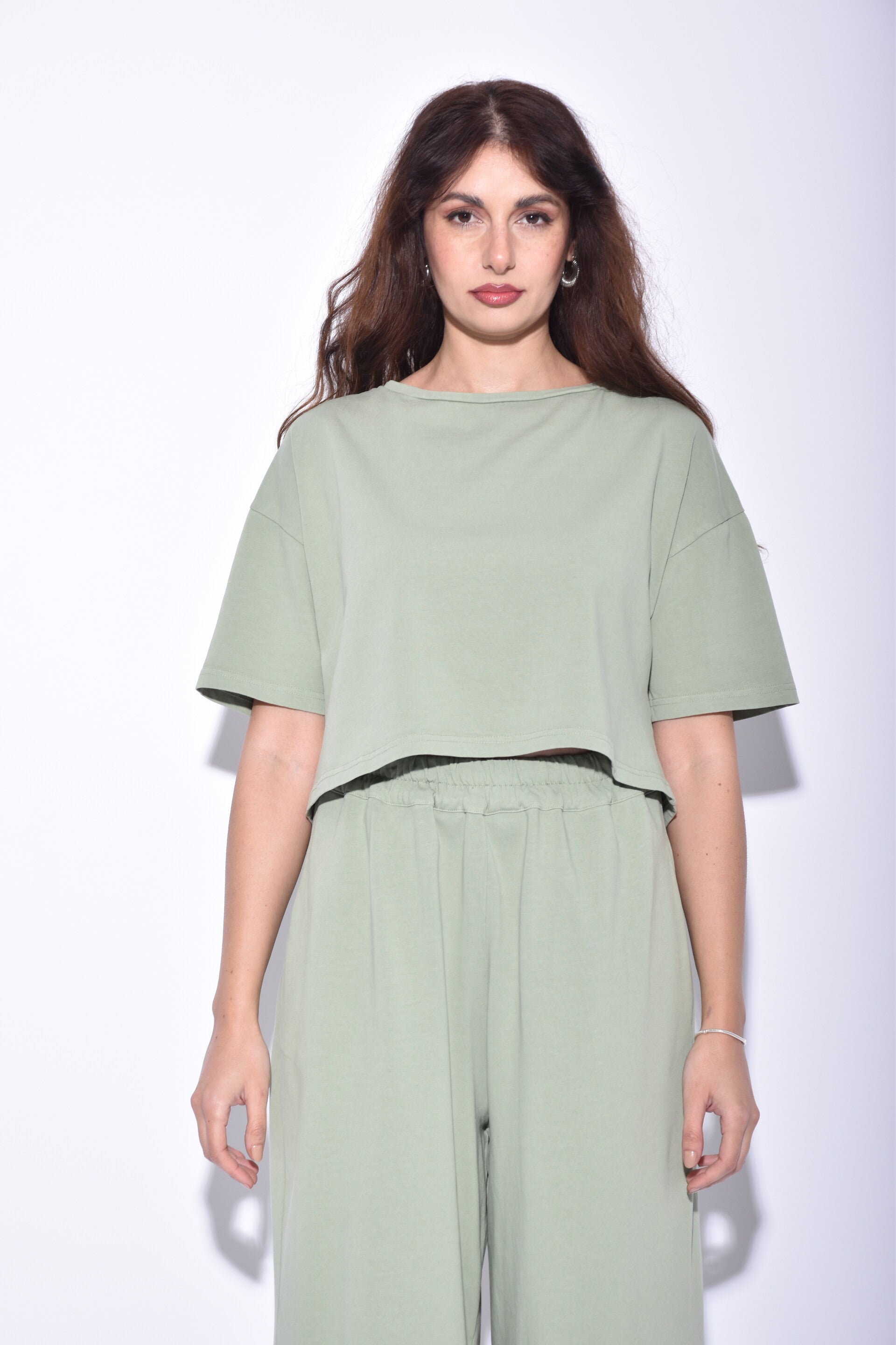 basic cropped t-shirt