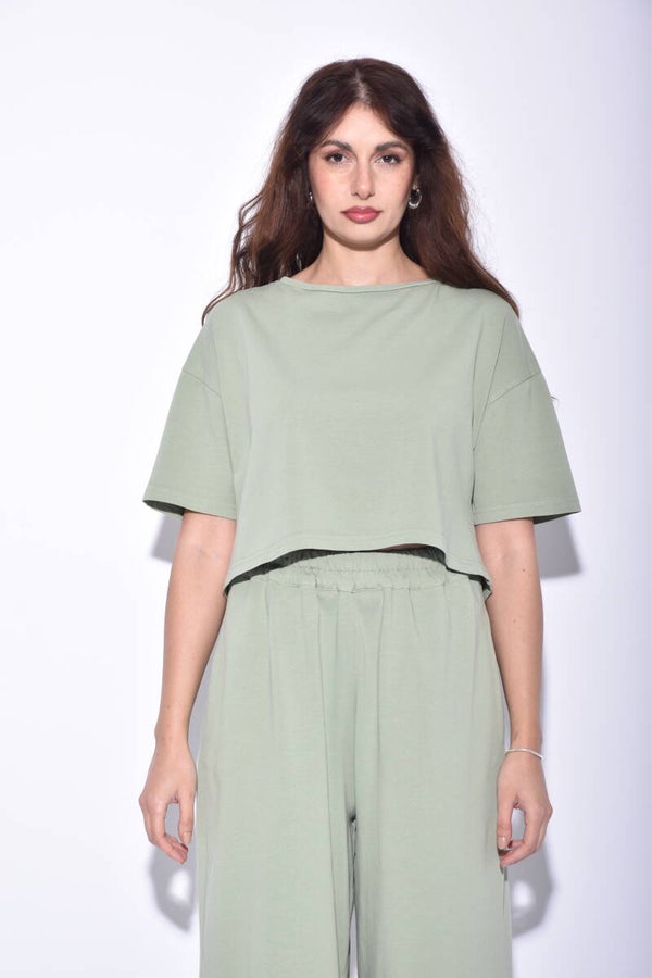 basic cropped t-shirt