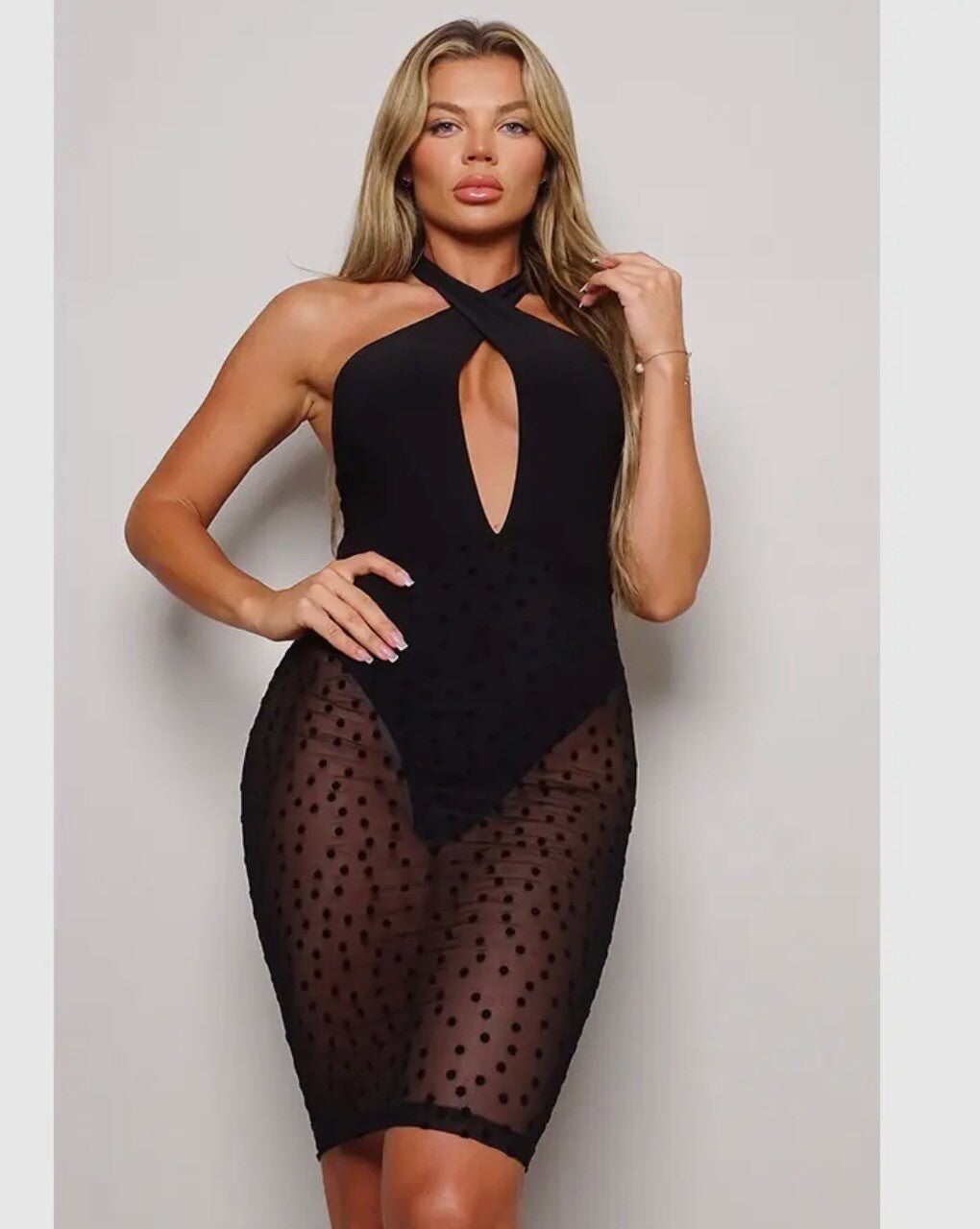 Midnight Mesh Polka Dress