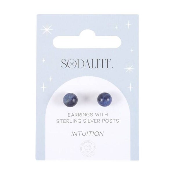 Sodalite Stud Earrings