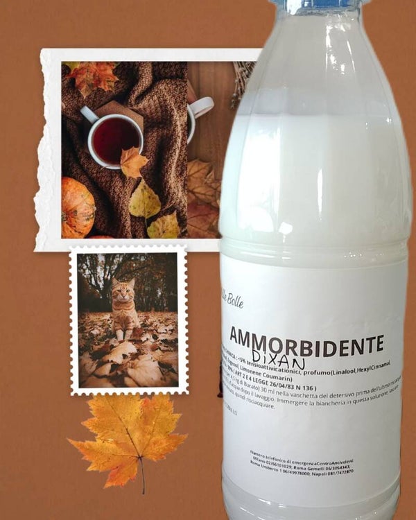 Ammorbidenteb Dixan