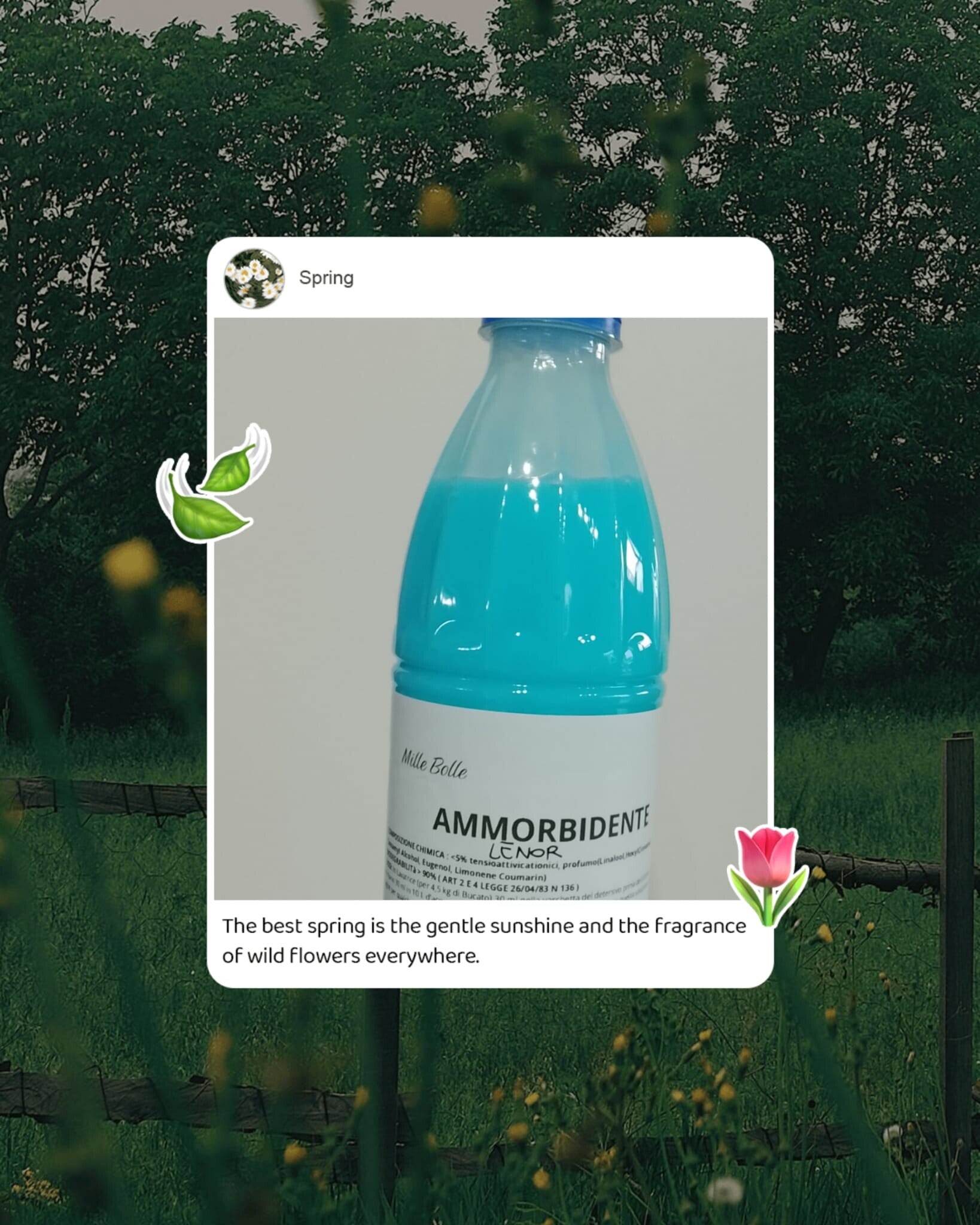 Ammorbidente Lenor