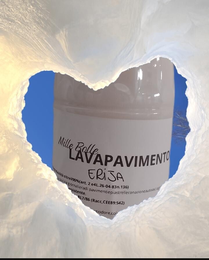 lavapavimenti Erija