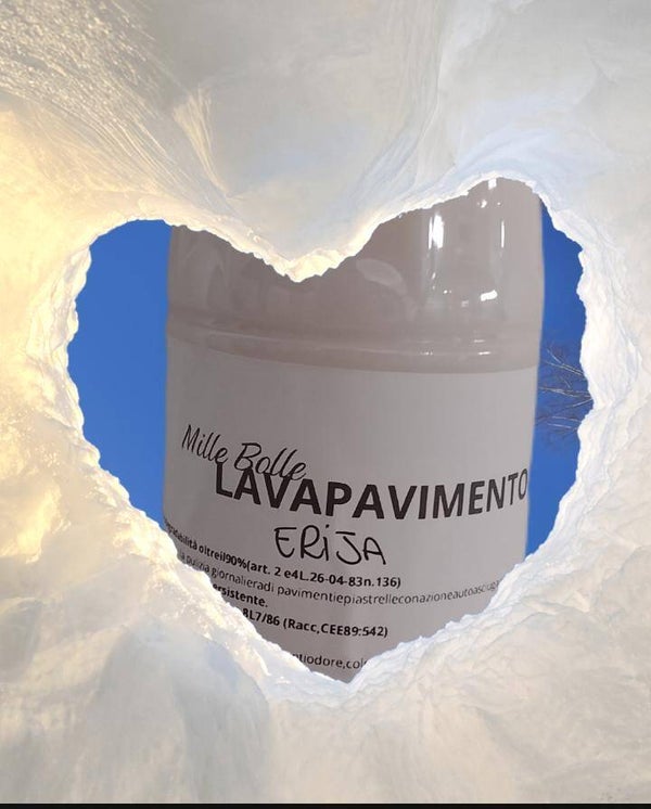 lavapavimenti Erija