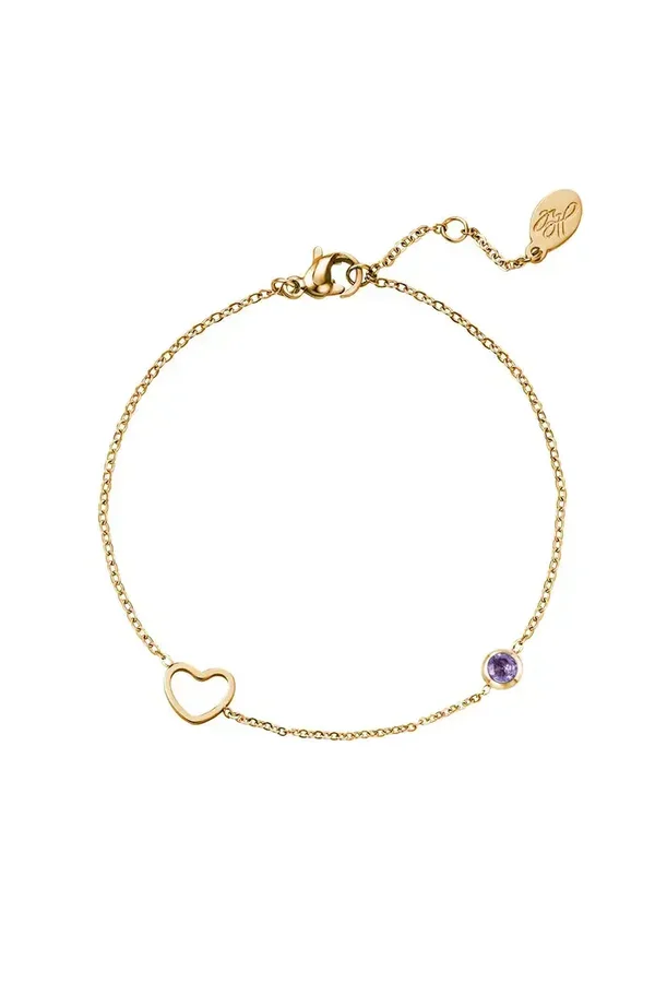 Armband geboortesteen februari tem december - Goud