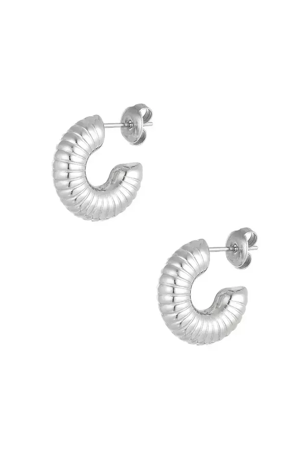 Oorbellen striped moon - Zilver