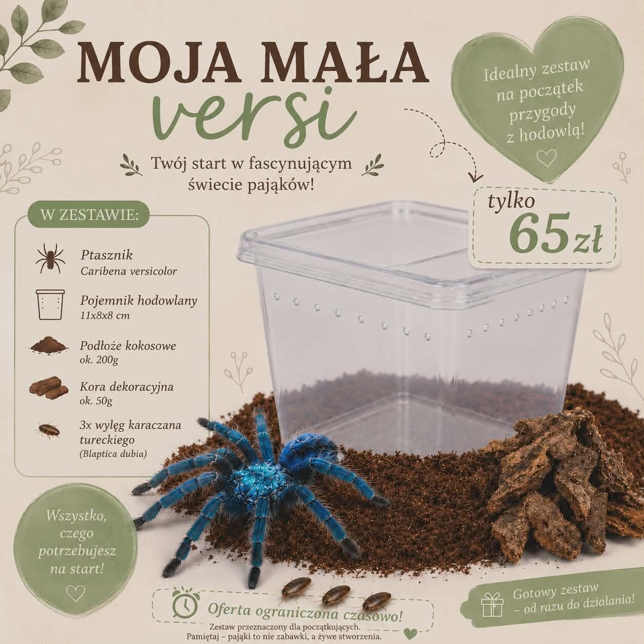 Moja mała Versi