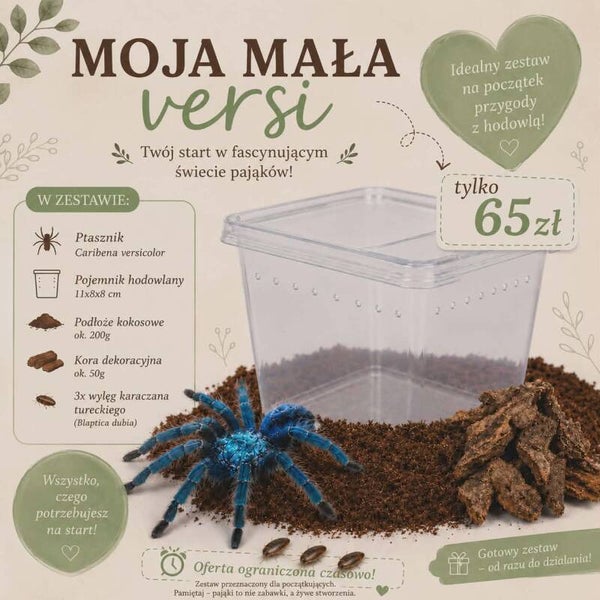 Moja mała Versi