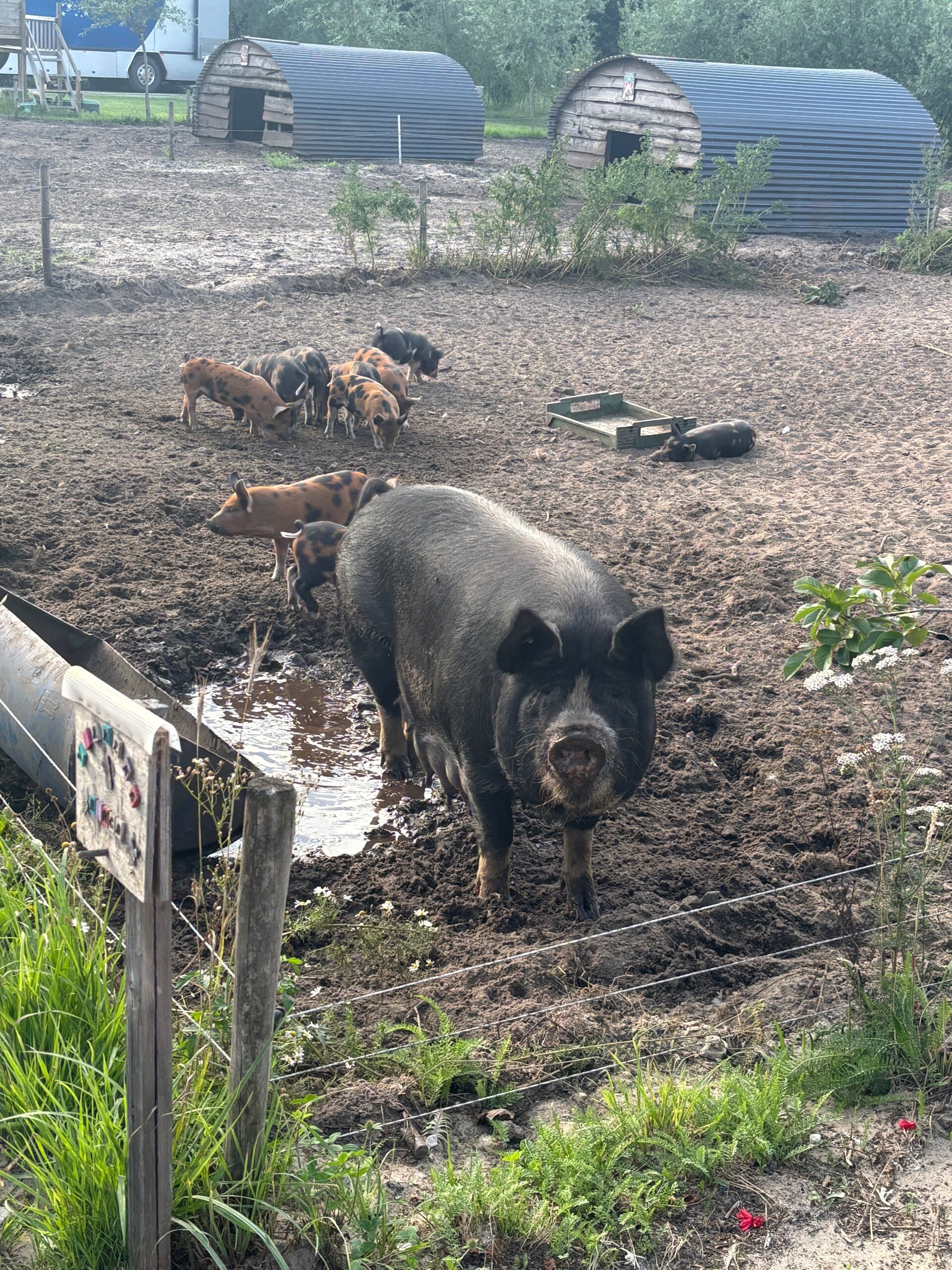 Interesse boerderijbezoek aantal personen