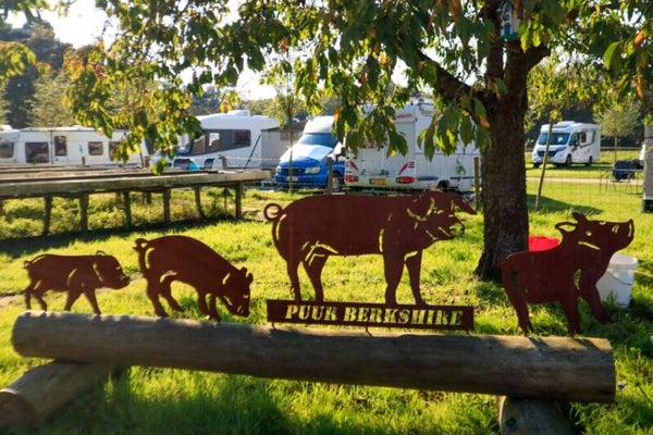 Aantal overnachtingen Puur Berkshire met stroom