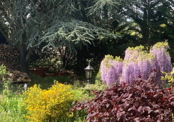 Découvrez le potentiel unique de votre jardin