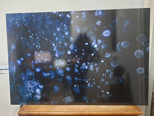 De reis van chaos naar rust (60x90 cm)