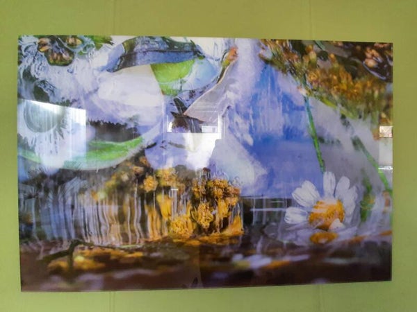 Fontein van de jeugd (Formaat: 60x90 cm)