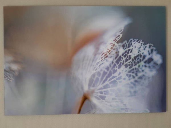 Tedere herinnering (Formaat: 60x90 cm)