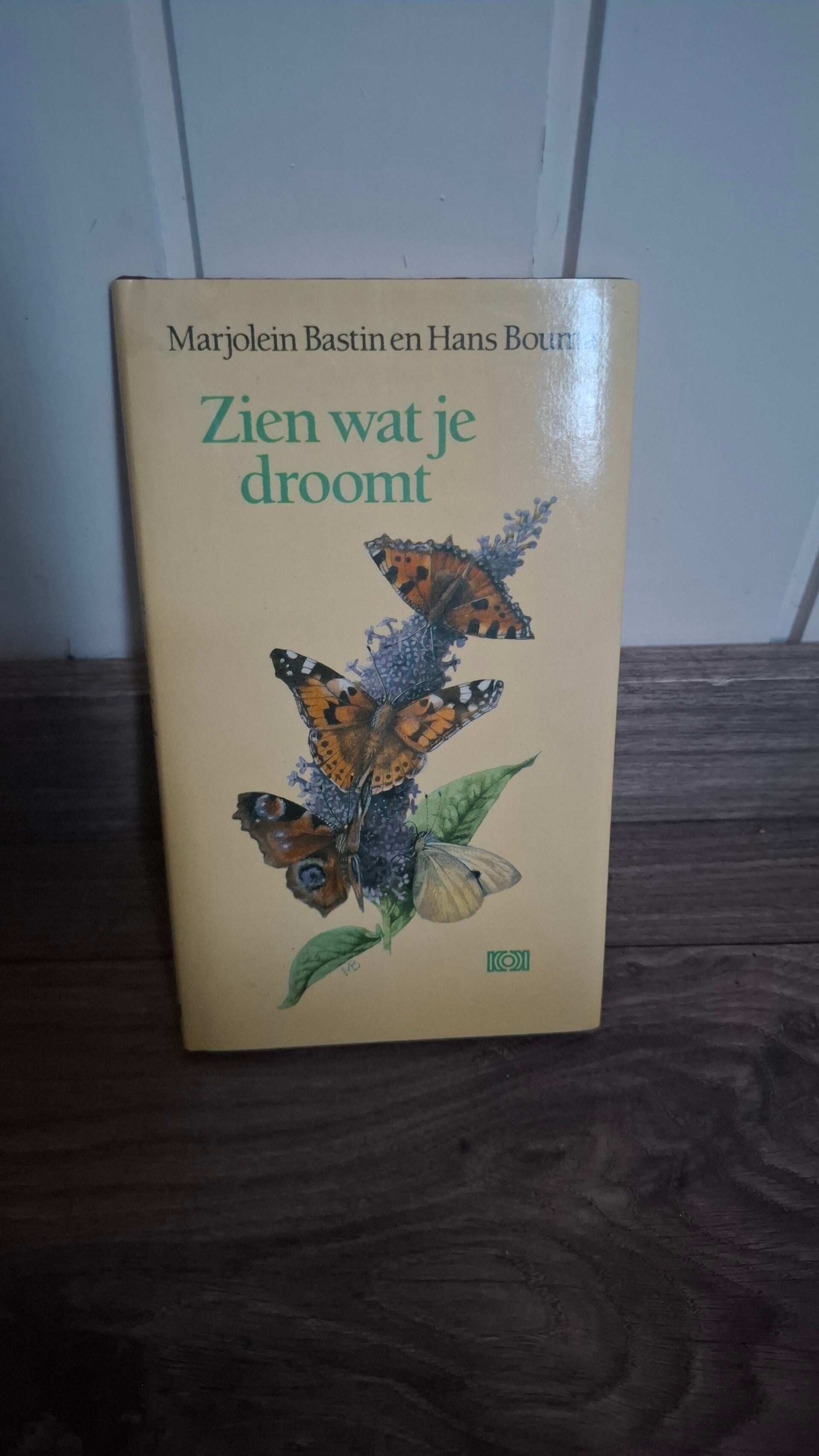 Tweedehandsboek zien wat je droomt
