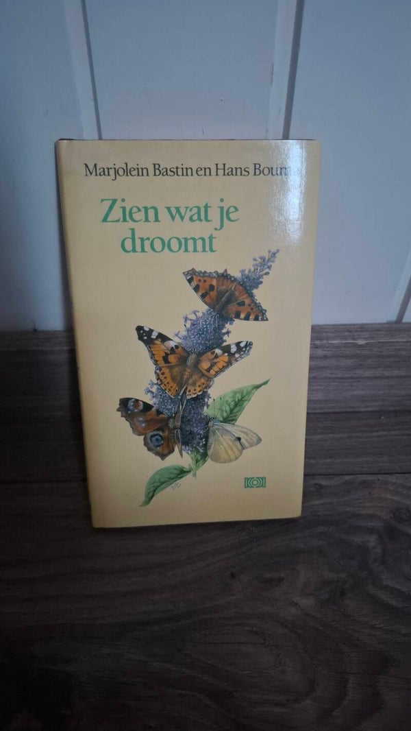 Tweedehandsboek zien wat je droomt