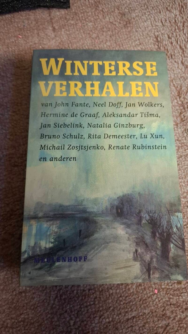 Winterse verhalen tweedehands boek