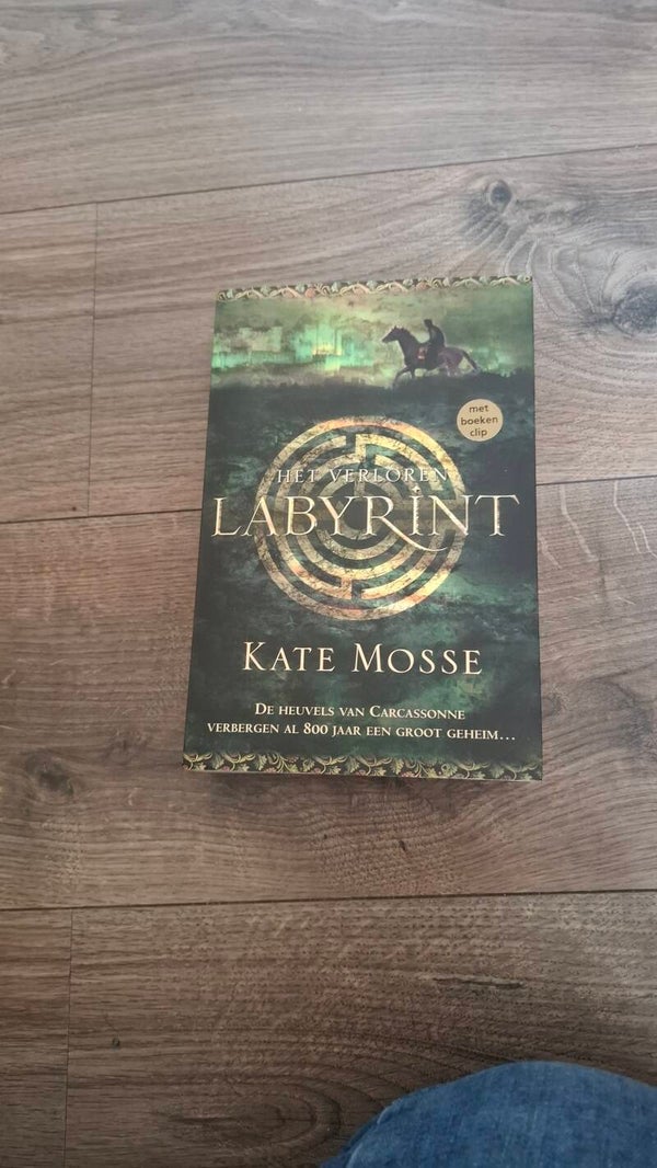 Tweedehands boek kate mosse