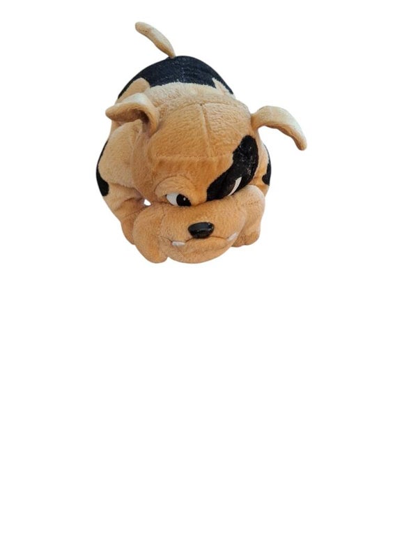 Knuffelbeer  hond