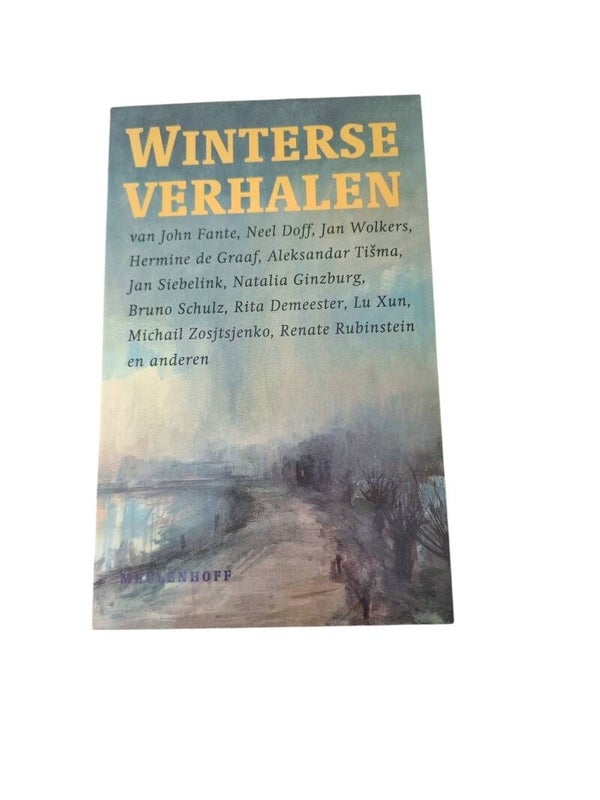 Leesboek- Winterse verhalen