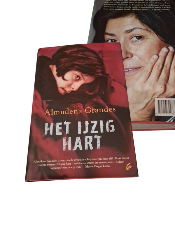Het ijzer hart Leuk lees boek Restyle-it 2dehands Online winkelen