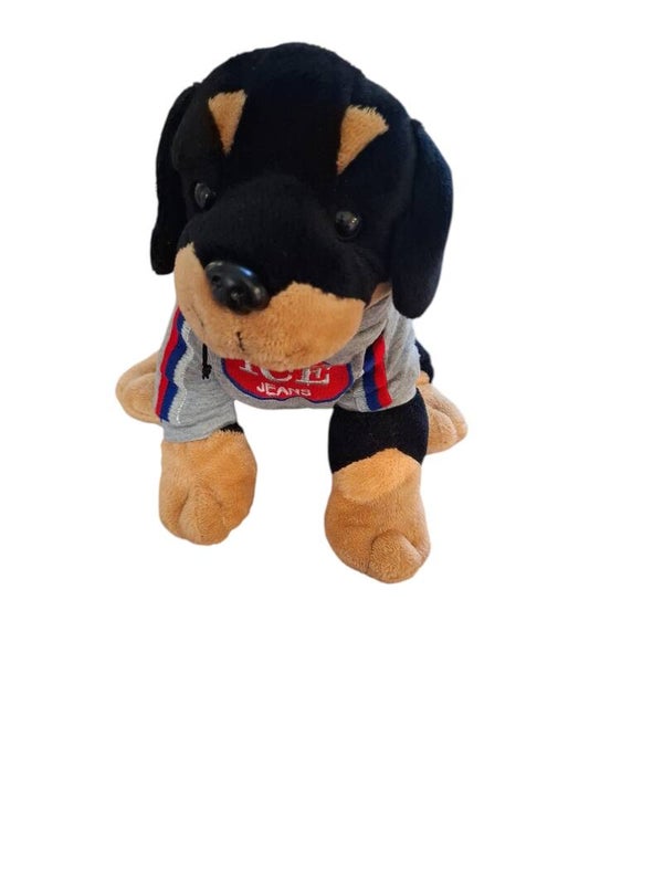 Knuffelbeer hond