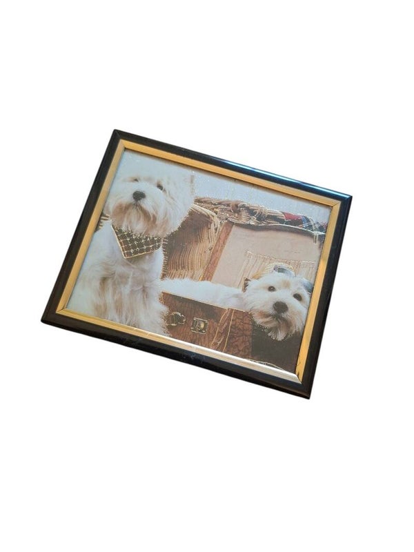 2dehands Lijstje met print honden