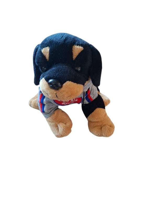 Knuffel hond  Restyle-it 2dehands Online winkelen