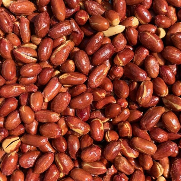 Vliespinda's (groot)