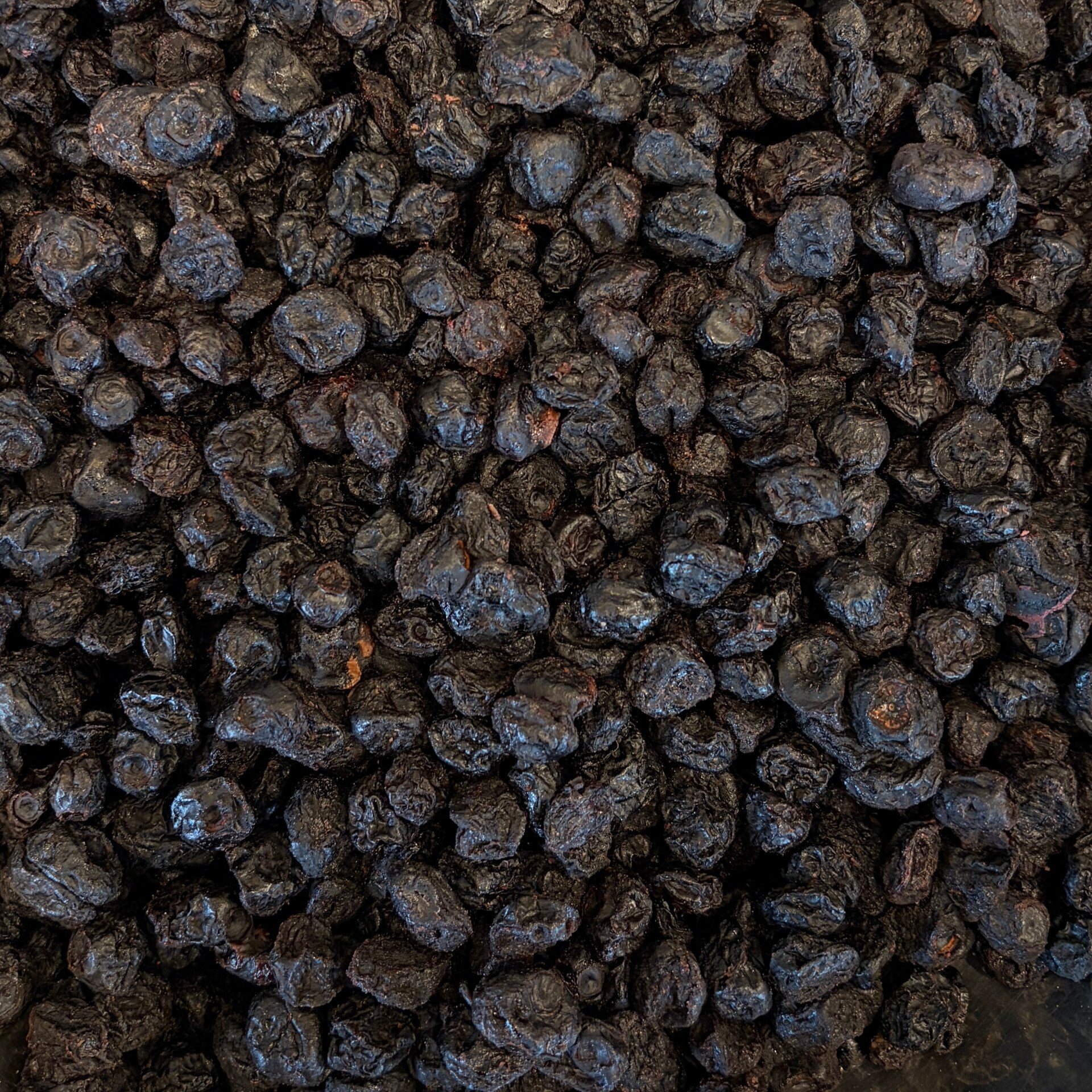 Blauwe bessen/ Blueberry's (gedroogd)