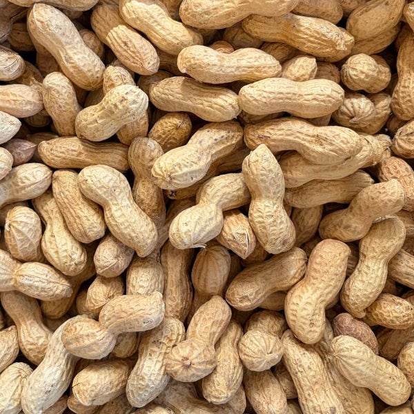 Pelpinda's (geroosterde doppinda's)