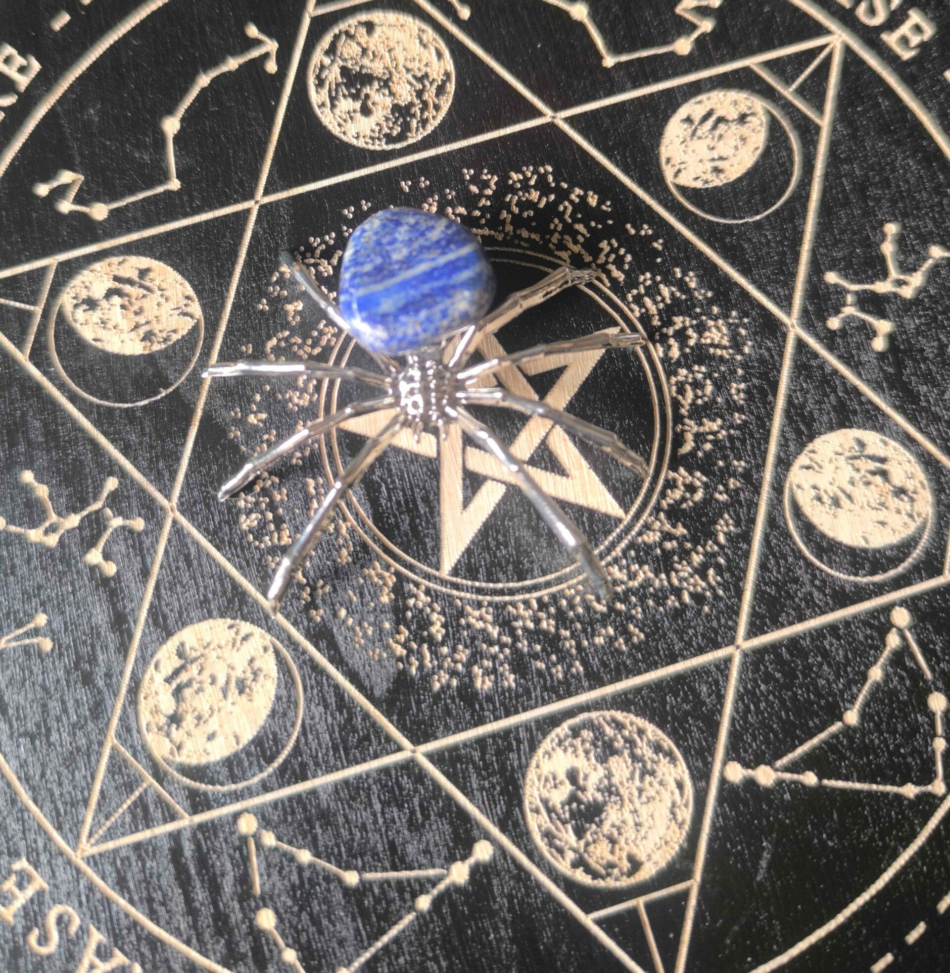 Araignée lapis lazuli