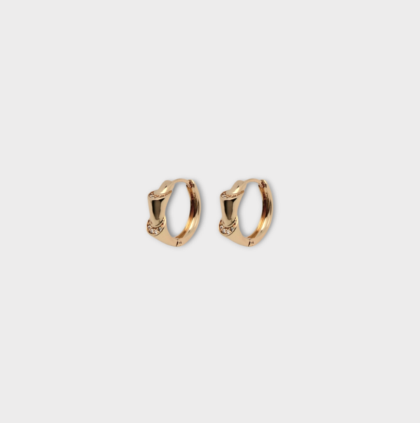 Earrings Bamboo