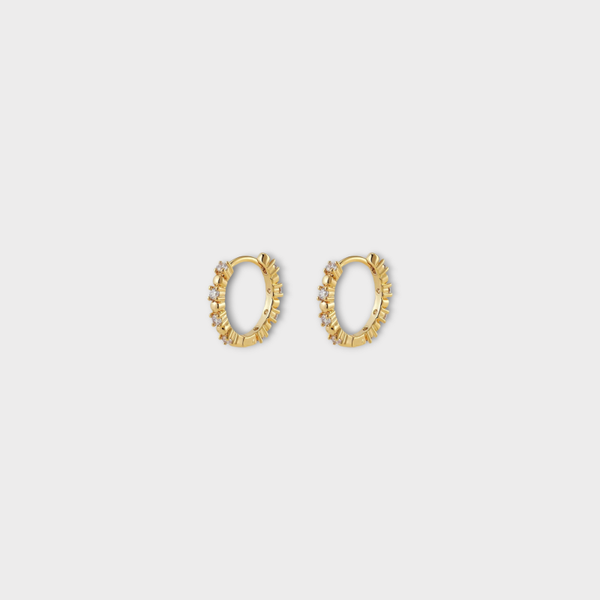 Earrings Classy