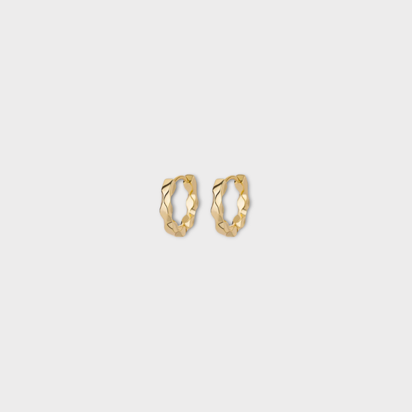 Earrings Wavy