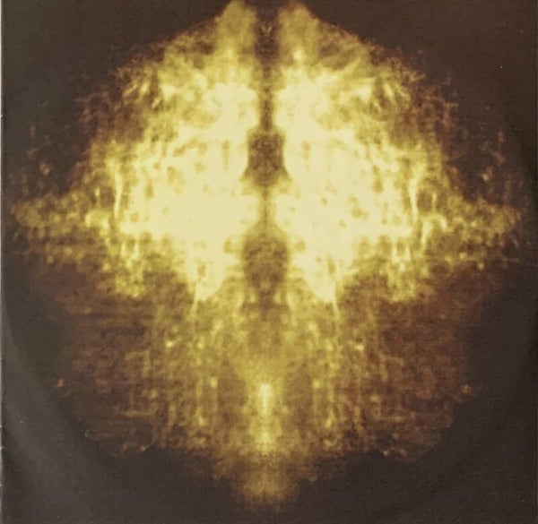 Thula Borah ‎– Dirty Injection CDS / Lloyd James Fay