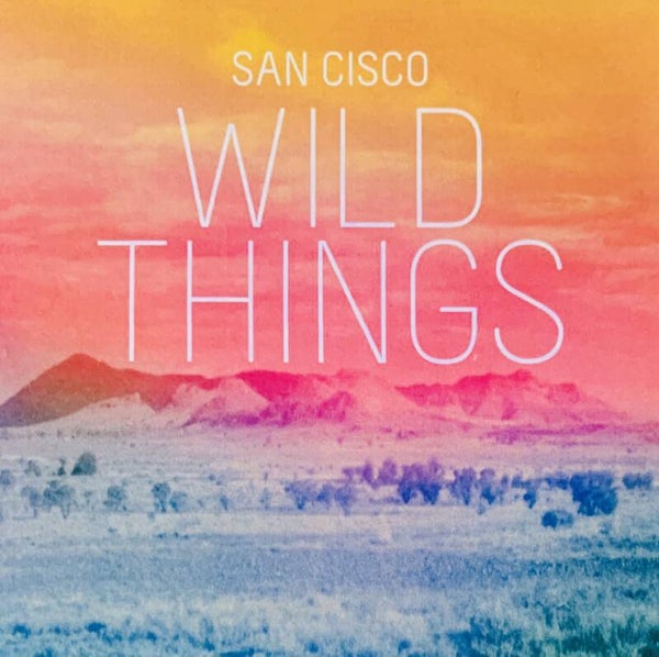 San Cisco ‎– Wild Things CDS PROMO