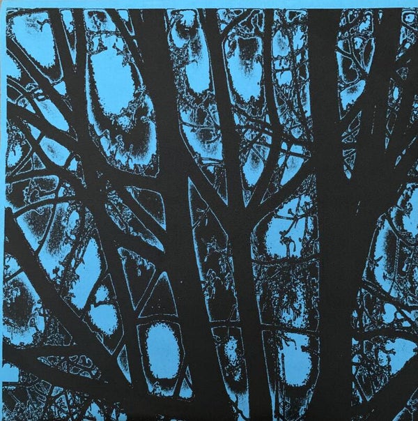 Nærvær / Velcro  / Standarte ‎– Nucleus EP 2 (7")