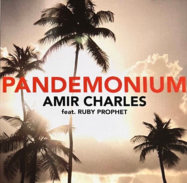 Amir Charles Ft. Ruby Prophet ‎– Pandemonium CDS PROMO