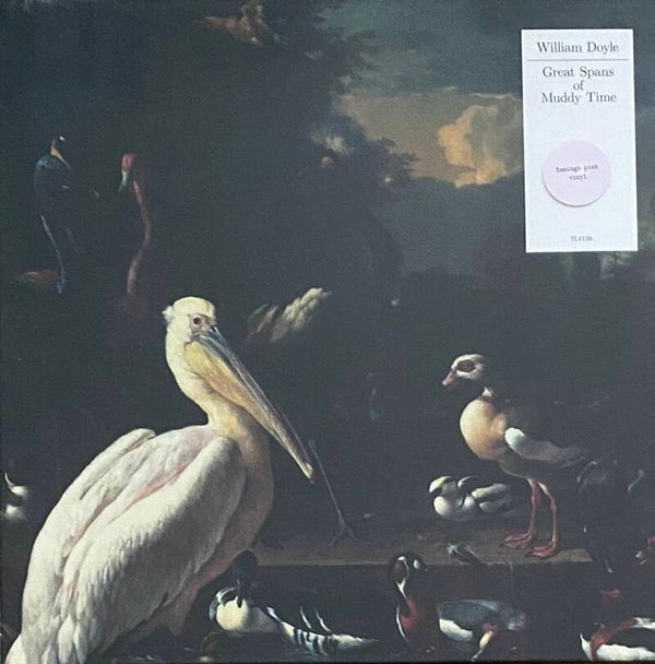 William Doyle ‎– Great Spans Of Muddy Time (LP Flamingo Pink Vinyl + Signed Art Print)