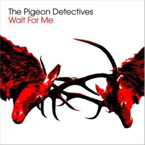 The Pigeon Detectives – Wait For Me CD