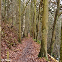 FortVanMerksem12-201415.jpg