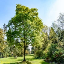 ArboretumKalmthout-5.jpg