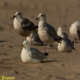 Aantstrand-1.jpg