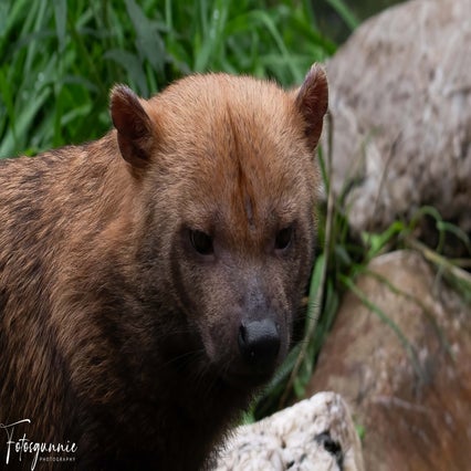 diereninzie-zoo07-2023-56.jpg