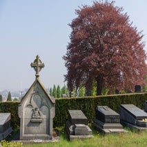 Cemeteryofthedog-16.jpg