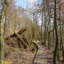 Demoerputtenv20-6.jpg