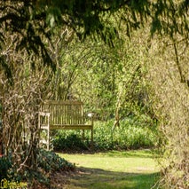 ArboretumKalmthout-19.jpg