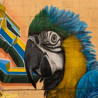 GraffitiKortrijk-13.jpg