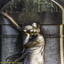 Schoonselhof-3.jpg